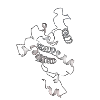 13078_7oui_8_v1-0
Structure of C2S2M2-type Photosystem supercomplex from Arabidopsis thaliana (digitonin-extracted)