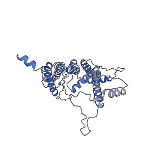 13078_7oui_A_v1-0
Structure of C2S2M2-type Photosystem supercomplex from Arabidopsis thaliana (digitonin-extracted)