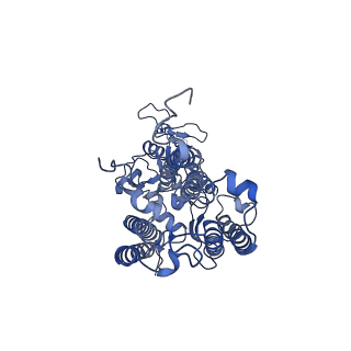 13078_7oui_B_v1-0
Structure of C2S2M2-type Photosystem supercomplex from Arabidopsis thaliana (digitonin-extracted)