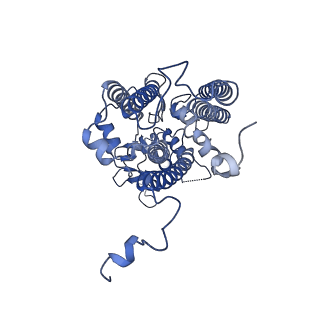 13078_7oui_C_v1-0
Structure of C2S2M2-type Photosystem supercomplex from Arabidopsis thaliana (digitonin-extracted)