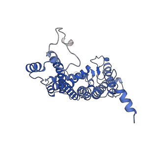 13078_7oui_D_v1-0
Structure of C2S2M2-type Photosystem supercomplex from Arabidopsis thaliana (digitonin-extracted)