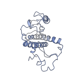 13078_7oui_G_v1-0
Structure of C2S2M2-type Photosystem supercomplex from Arabidopsis thaliana (digitonin-extracted)