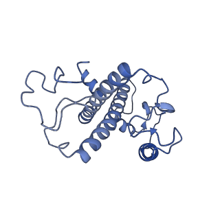 13078_7oui_N_v1-0
Structure of C2S2M2-type Photosystem supercomplex from Arabidopsis thaliana (digitonin-extracted)
