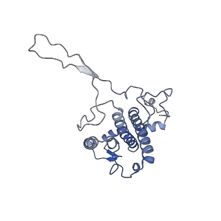13078_7oui_R_v1-0
Structure of C2S2M2-type Photosystem supercomplex from Arabidopsis thaliana (digitonin-extracted)