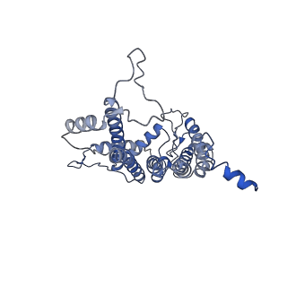 13078_7oui_a_v1-0
Structure of C2S2M2-type Photosystem supercomplex from Arabidopsis thaliana (digitonin-extracted)