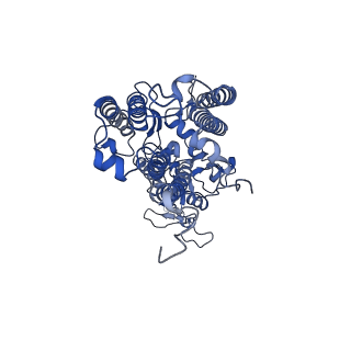 13078_7oui_b_v1-0
Structure of C2S2M2-type Photosystem supercomplex from Arabidopsis thaliana (digitonin-extracted)
