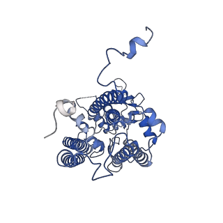 13078_7oui_c_v1-0
Structure of C2S2M2-type Photosystem supercomplex from Arabidopsis thaliana (digitonin-extracted)