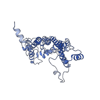 13078_7oui_d_v1-0
Structure of C2S2M2-type Photosystem supercomplex from Arabidopsis thaliana (digitonin-extracted)