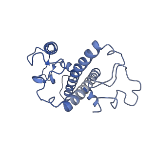 13078_7oui_n_v1-0
Structure of C2S2M2-type Photosystem supercomplex from Arabidopsis thaliana (digitonin-extracted)