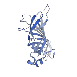 13078_7oui_o_v1-0
Structure of C2S2M2-type Photosystem supercomplex from Arabidopsis thaliana (digitonin-extracted)