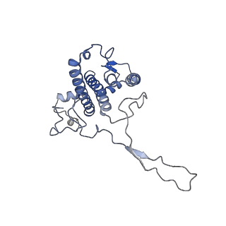 13078_7oui_r_v1-0
Structure of C2S2M2-type Photosystem supercomplex from Arabidopsis thaliana (digitonin-extracted)