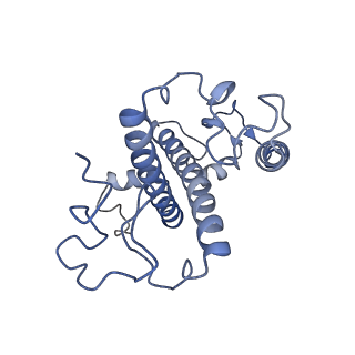 13078_7oui_y_v1-0
Structure of C2S2M2-type Photosystem supercomplex from Arabidopsis thaliana (digitonin-extracted)