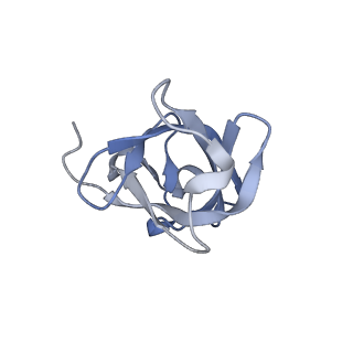 17190_8oue_D_v1-0
The H/ACA RNP lobe of human telomerase with the dyskerin thumb loop in a semi-closed conformation