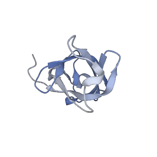 17190_8oue_D_v1-1
The H/ACA RNP lobe of human telomerase with the dyskerin thumb loop in a semi-closed conformation