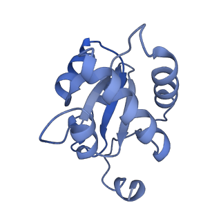 17190_8oue_E_v1-0
The H/ACA RNP lobe of human telomerase with the dyskerin thumb loop in a semi-closed conformation