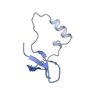 17190_8oue_F_v1-0
The H/ACA RNP lobe of human telomerase with the dyskerin thumb loop in a semi-closed conformation