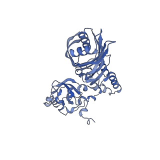 17190_8oue_G_v1-1
The H/ACA RNP lobe of human telomerase with the dyskerin thumb loop in a semi-closed conformation