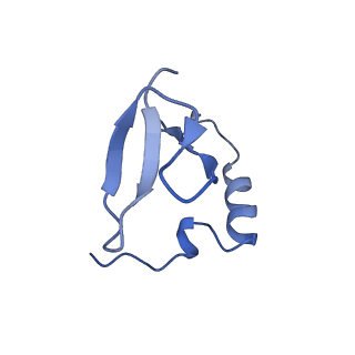 17190_8oue_J_v1-0
The H/ACA RNP lobe of human telomerase with the dyskerin thumb loop in a semi-closed conformation