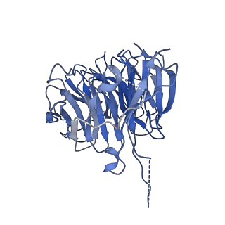 17190_8oue_K_v1-0
The H/ACA RNP lobe of human telomerase with the dyskerin thumb loop in a semi-closed conformation