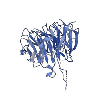 17190_8oue_K_v1-1
The H/ACA RNP lobe of human telomerase with the dyskerin thumb loop in a semi-closed conformation