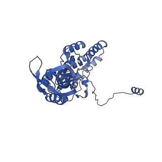 17191_8ouf_C_v1-0
The H/ACA RNP lobe of human telomerase with the dyskerin thumb loop in an open conformation
