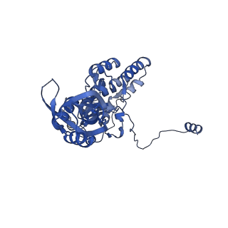 17191_8ouf_C_v1-1
The H/ACA RNP lobe of human telomerase with the dyskerin thumb loop in an open conformation