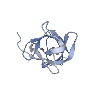17191_8ouf_D_v1-0
The H/ACA RNP lobe of human telomerase with the dyskerin thumb loop in an open conformation