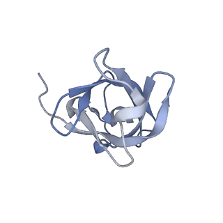 17191_8ouf_D_v1-1
The H/ACA RNP lobe of human telomerase with the dyskerin thumb loop in an open conformation