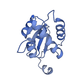 17191_8ouf_E_v1-0
The H/ACA RNP lobe of human telomerase with the dyskerin thumb loop in an open conformation