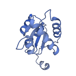 17191_8ouf_E_v1-1
The H/ACA RNP lobe of human telomerase with the dyskerin thumb loop in an open conformation