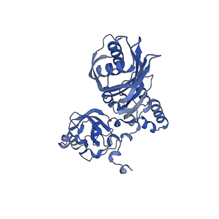 17191_8ouf_G_v1-1
The H/ACA RNP lobe of human telomerase with the dyskerin thumb loop in an open conformation