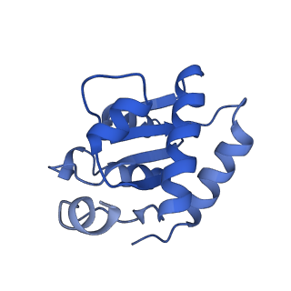 17191_8ouf_I_v1-0
The H/ACA RNP lobe of human telomerase with the dyskerin thumb loop in an open conformation