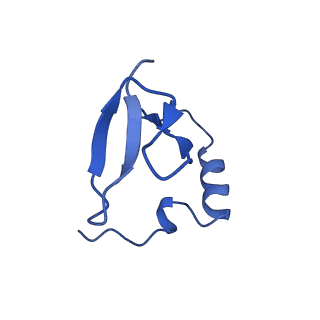 17191_8ouf_J_v1-1
The H/ACA RNP lobe of human telomerase with the dyskerin thumb loop in an open conformation