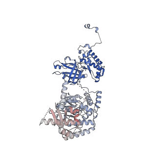 17204_8ouw_2_v1-3
Cryo-EM structure of CMG helicase bound to TIM-1/TIPN-1 and homodimeric DNSN-1 on fork DNA (Caenorhabditis elegans)