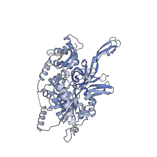 17204_8ouw_4_v1-3
Cryo-EM structure of CMG helicase bound to TIM-1/TIPN-1 and homodimeric DNSN-1 on fork DNA (Caenorhabditis elegans)