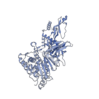 17204_8ouw_7_v1-3
Cryo-EM structure of CMG helicase bound to TIM-1/TIPN-1 and homodimeric DNSN-1 on fork DNA (Caenorhabditis elegans)