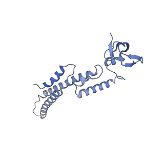 17204_8ouw_A_v1-3
Cryo-EM structure of CMG helicase bound to TIM-1/TIPN-1 and homodimeric DNSN-1 on fork DNA (Caenorhabditis elegans)