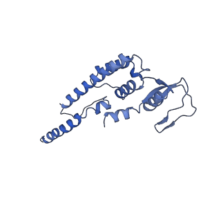 17204_8ouw_B_v1-3
Cryo-EM structure of CMG helicase bound to TIM-1/TIPN-1 and homodimeric DNSN-1 on fork DNA (Caenorhabditis elegans)