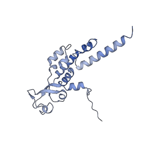 17204_8ouw_C_v1-3
Cryo-EM structure of CMG helicase bound to TIM-1/TIPN-1 and homodimeric DNSN-1 on fork DNA (Caenorhabditis elegans)