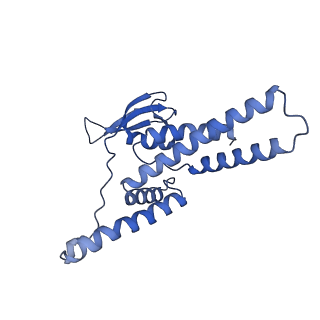 17204_8ouw_D_v1-3
Cryo-EM structure of CMG helicase bound to TIM-1/TIPN-1 and homodimeric DNSN-1 on fork DNA (Caenorhabditis elegans)