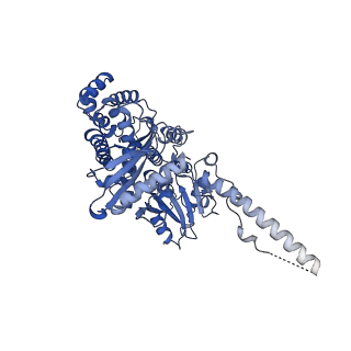 17204_8ouw_E_v1-3
Cryo-EM structure of CMG helicase bound to TIM-1/TIPN-1 and homodimeric DNSN-1 on fork DNA (Caenorhabditis elegans)