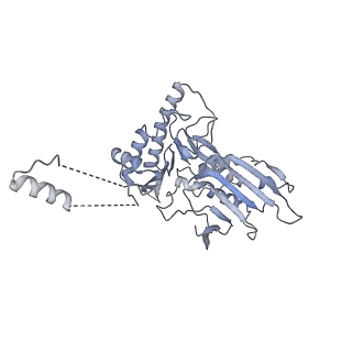 17204_8ouw_F_v1-3
Cryo-EM structure of CMG helicase bound to TIM-1/TIPN-1 and homodimeric DNSN-1 on fork DNA (Caenorhabditis elegans)