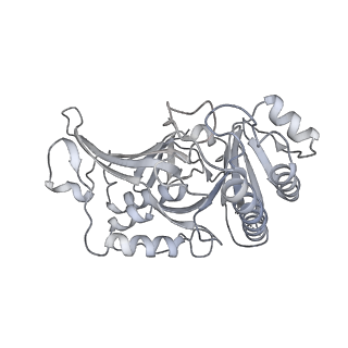 17204_8ouw_G_v1-3
Cryo-EM structure of CMG helicase bound to TIM-1/TIPN-1 and homodimeric DNSN-1 on fork DNA (Caenorhabditis elegans)