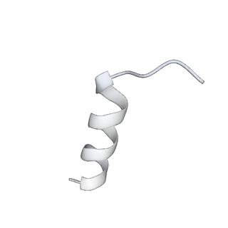 17204_8ouw_H_v1-3
Cryo-EM structure of CMG helicase bound to TIM-1/TIPN-1 and homodimeric DNSN-1 on fork DNA (Caenorhabditis elegans)