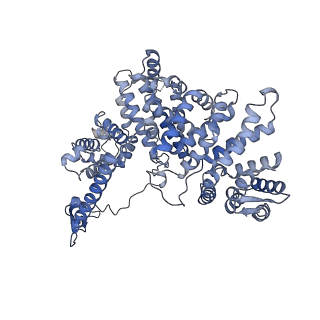 17204_8ouw_K_v1-3
Cryo-EM structure of CMG helicase bound to TIM-1/TIPN-1 and homodimeric DNSN-1 on fork DNA (Caenorhabditis elegans)