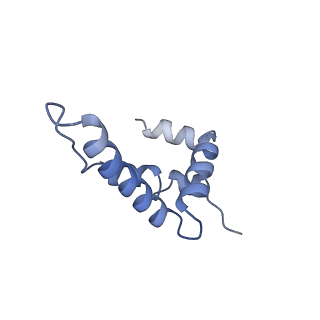 17204_8ouw_L_v1-3
Cryo-EM structure of CMG helicase bound to TIM-1/TIPN-1 and homodimeric DNSN-1 on fork DNA (Caenorhabditis elegans)