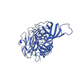 20198_6ou9_A_v2-1
Asymmetric focused reconstruction of human norovirus GI.7 Houston strain VLP asymmetric unit in T=3 symmetry