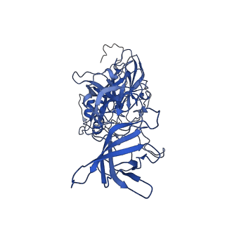 20198_6ou9_B_v2-1
Asymmetric focused reconstruction of human norovirus GI.7 Houston strain VLP asymmetric unit in T=3 symmetry