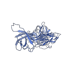 20198_6ou9_C_v2-1
Asymmetric focused reconstruction of human norovirus GI.7 Houston strain VLP asymmetric unit in T=3 symmetry