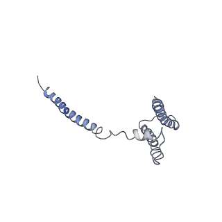 20200_6oua_H_v1-3
Cryo-EM structure of the yeast Ctf3 complex